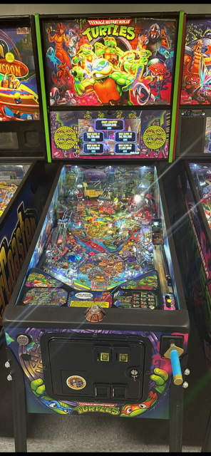 Teenage Mutant Ninja Turtles Premium