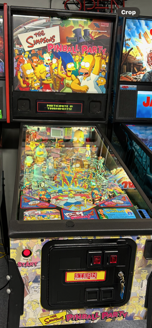 Simpsons Party Pinball